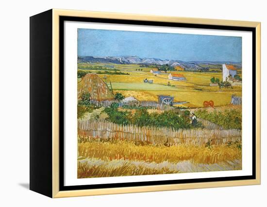 Van Gogh: Wheatfield, 1888-Vincent van Gogh-Framed Premier Image Canvas