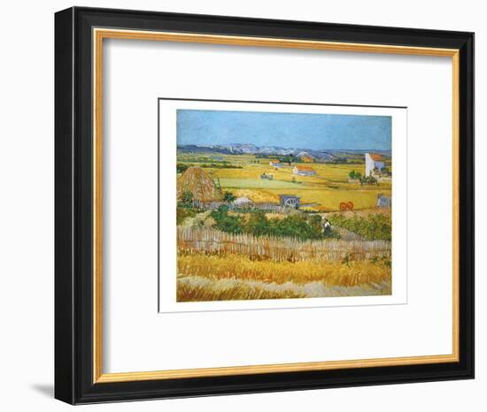 Van Gogh: Wheatfield, 1888-Vincent van Gogh-Framed Premium Giclee Print