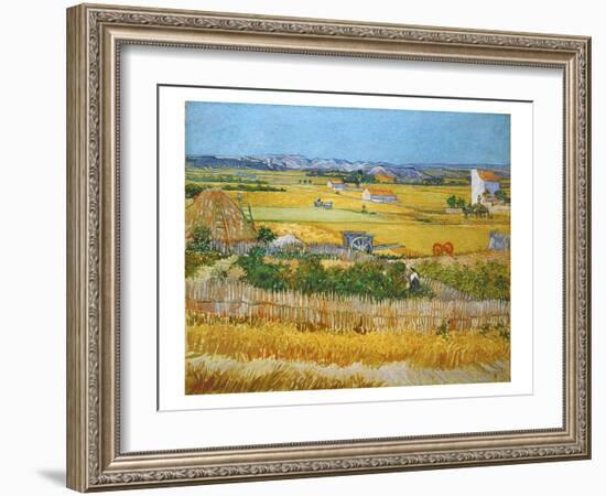 Van Gogh: Wheatfield, 1888-Vincent van Gogh-Framed Giclee Print