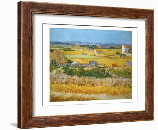 Van Gogh: Wheatfield, 1888-Vincent van Gogh-Framed Giclee Print