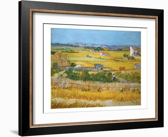 Van Gogh: Wheatfield, 1888-Vincent van Gogh-Framed Giclee Print