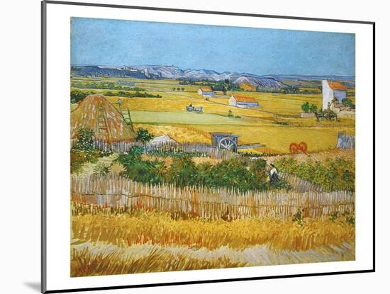Van Gogh: Wheatfield, 1888-Vincent van Gogh-Mounted Giclee Print