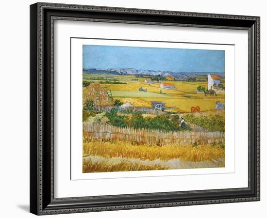 Van Gogh: Wheatfield, 1888-Vincent van Gogh-Framed Giclee Print