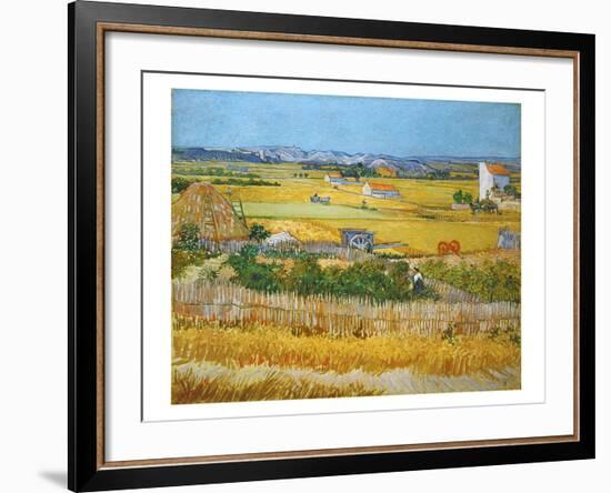 Van Gogh: Wheatfield, 1888-Vincent van Gogh-Framed Giclee Print