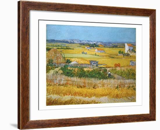 Van Gogh: Wheatfield, 1888-Vincent van Gogh-Framed Giclee Print