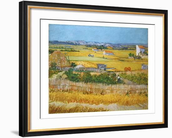 Van Gogh: Wheatfield, 1888-Vincent van Gogh-Framed Giclee Print