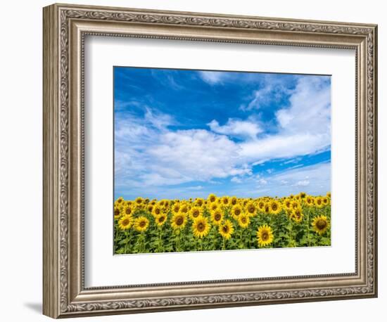 Van Gogh-Marco Carmassi-Framed Photographic Print