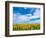 Van Gogh-Marco Carmassi-Framed Photographic Print