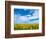 Van Gogh-Marco Carmassi-Framed Photographic Print