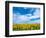 Van Gogh-Marco Carmassi-Framed Photographic Print