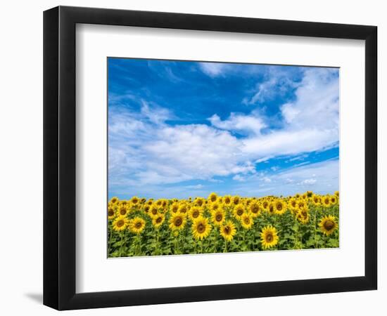 Van Gogh-Marco Carmassi-Framed Photographic Print