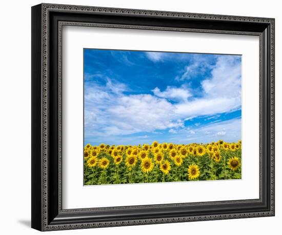 Van Gogh-Marco Carmassi-Framed Photographic Print