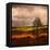 Van Gough's Mind-Philippe Sainte-Laudy-Framed Premier Image Canvas