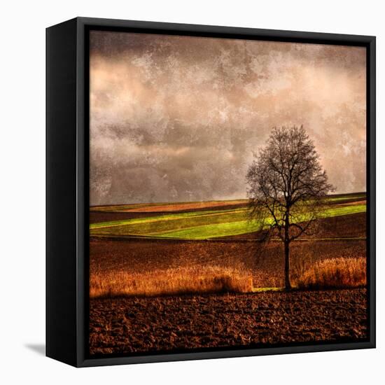 Van Gough's Mind-Philippe Sainte-Laudy-Framed Premier Image Canvas