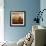 Van Gough's Mind-Philippe Sainte-Laudy-Framed Premium Photographic Print displayed on a wall