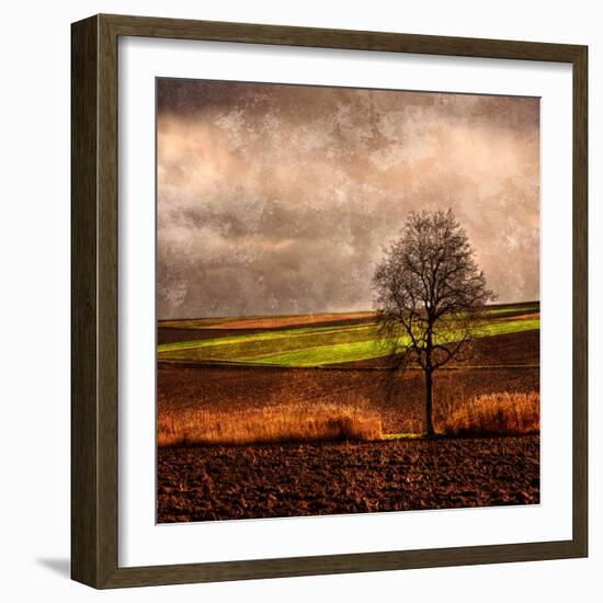 Van Gough's Mind-Philippe Sainte-Laudy-Framed Photographic Print