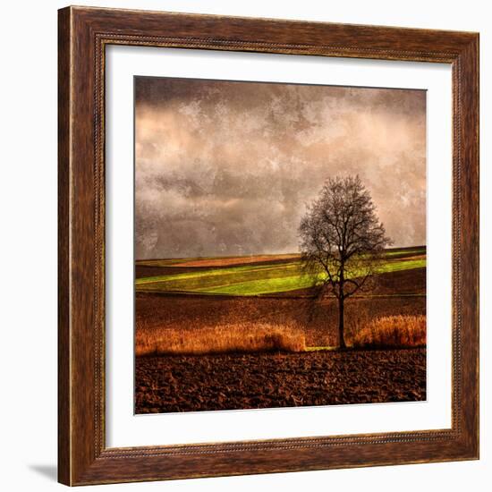 Van Gough's Mind-Philippe Sainte-Laudy-Framed Photographic Print