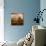 Van Gough's Mind-Philippe Sainte-Laudy-Photographic Print displayed on a wall