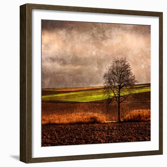 Van Gough's Mind-Philippe Sainte-Laudy-Framed Photographic Print