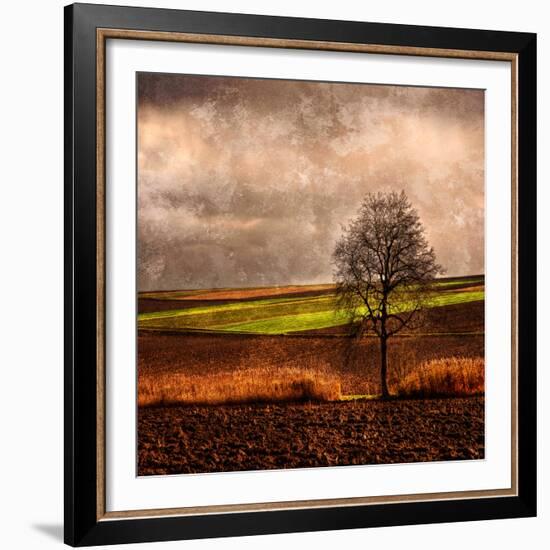 Van Gough's Mind-Philippe Sainte-Laudy-Framed Photographic Print