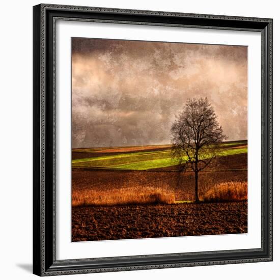 Van Gough's Mind-Philippe Sainte-Laudy-Framed Photographic Print