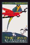 The London Zoo: The Macaw-Van Jones-Art Print