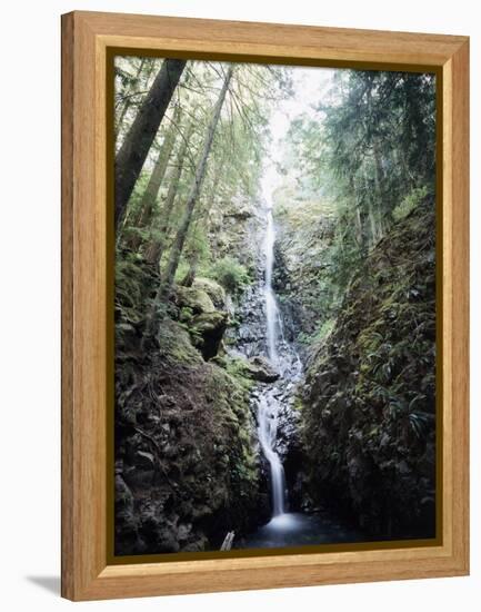 Vancouver Island, Strathcona Provincial Park, Lupin Falls-Christopher Talbot Frank-Framed Premier Image Canvas