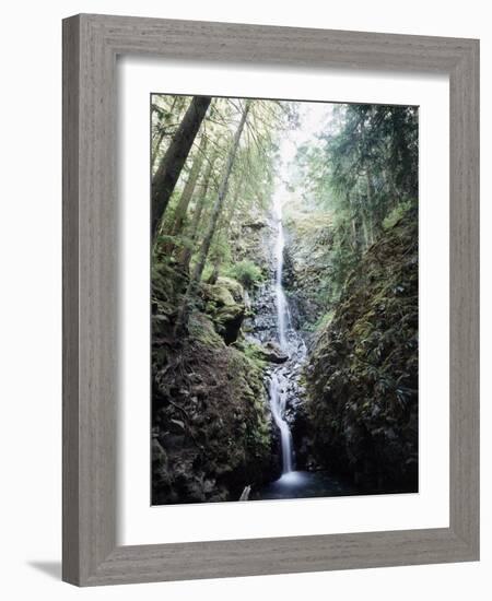 Vancouver Island, Strathcona Provincial Park, Lupin Falls-Christopher Talbot Frank-Framed Photographic Print