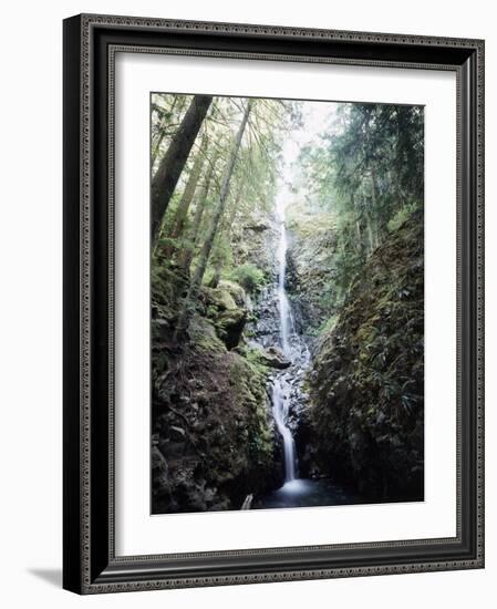 Vancouver Island, Strathcona Provincial Park, Lupin Falls-Christopher Talbot Frank-Framed Photographic Print