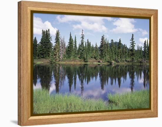 Vancouver Island, Strathcona Provincial Park, Reflecting in a Tarn-Christopher Talbot Frank-Framed Premier Image Canvas