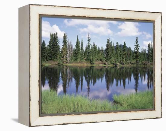 Vancouver Island, Strathcona Provincial Park, Reflecting in a Tarn-Christopher Talbot Frank-Framed Premier Image Canvas