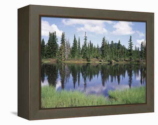 Vancouver Island, Strathcona Provincial Park, Reflecting in a Tarn-Christopher Talbot Frank-Framed Premier Image Canvas