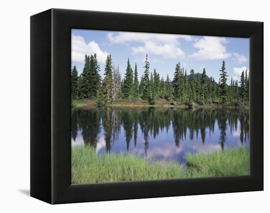 Vancouver Island, Strathcona Provincial Park, Reflecting in a Tarn-Christopher Talbot Frank-Framed Premier Image Canvas