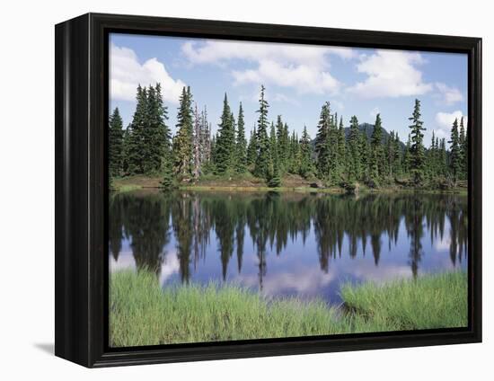 Vancouver Island, Strathcona Provincial Park, Reflecting in a Tarn-Christopher Talbot Frank-Framed Premier Image Canvas