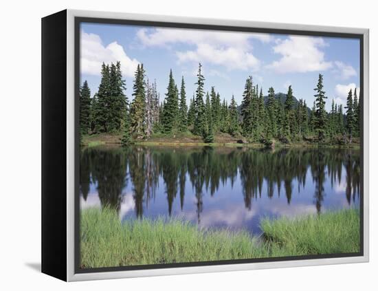 Vancouver Island, Strathcona Provincial Park, Reflecting in a Tarn-Christopher Talbot Frank-Framed Premier Image Canvas