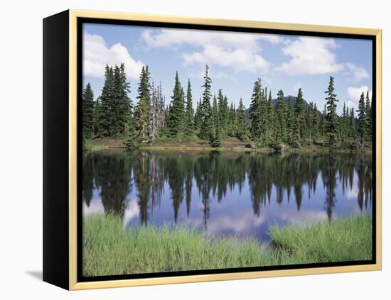 Vancouver Island, Strathcona Provincial Park, Reflecting in a Tarn-Christopher Talbot Frank-Framed Premier Image Canvas
