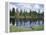 Vancouver Island, Strathcona Provincial Park, Reflecting in a Tarn-Christopher Talbot Frank-Framed Premier Image Canvas