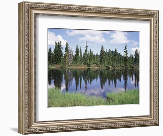 Vancouver Island, Strathcona Provincial Park, Reflecting in a Tarn-Christopher Talbot Frank-Framed Photographic Print