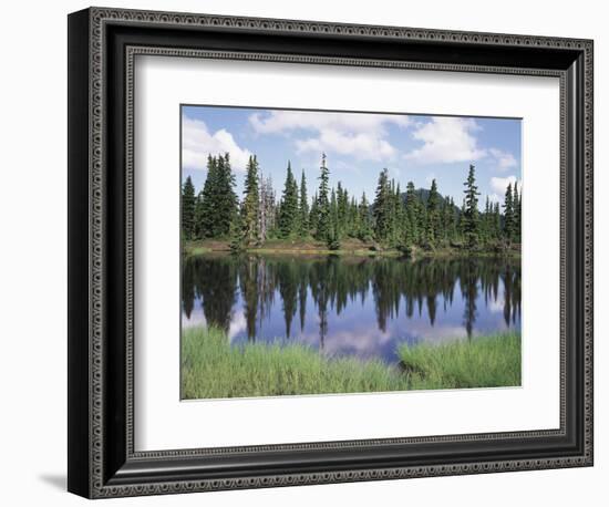 Vancouver Island, Strathcona Provincial Park, Reflecting in a Tarn-Christopher Talbot Frank-Framed Photographic Print