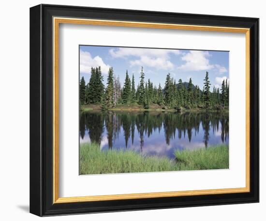 Vancouver Island, Strathcona Provincial Park, Reflecting in a Tarn-Christopher Talbot Frank-Framed Photographic Print