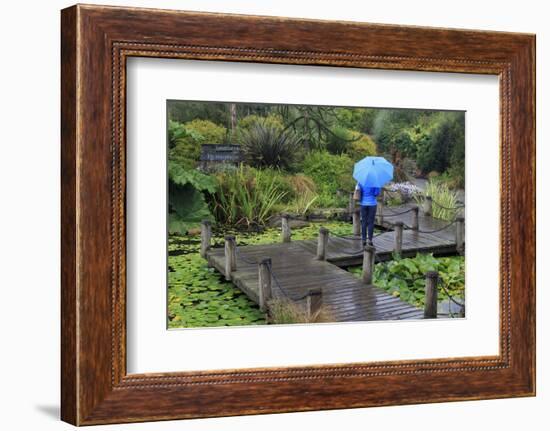 VanDusen Gardens, Vancouver, British Columbia, Canada, North America-Richard Cummins-Framed Photographic Print