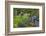 VanDusen Gardens, Vancouver, British Columbia, Canada, North America-Richard Cummins-Framed Photographic Print