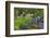 VanDusen Gardens, Vancouver, British Columbia, Canada, North America-Richard Cummins-Framed Photographic Print