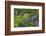 VanDusen Gardens, Vancouver, British Columbia, Canada, North America-Richard Cummins-Framed Photographic Print