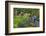 VanDusen Gardens, Vancouver, British Columbia, Canada, North America-Richard Cummins-Framed Photographic Print