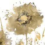 Flower Burst I-Vanessa Austin-Framed Giclee Print