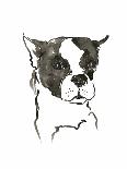 WAG: The Dog VII-Vanessa Binder-Art Print