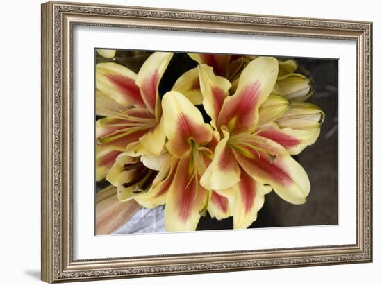 Vanilla Lily I-Maureen Love-Framed Premium Photographic Print