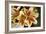 Vanilla Lily I-Maureen Love-Framed Premium Photographic Print