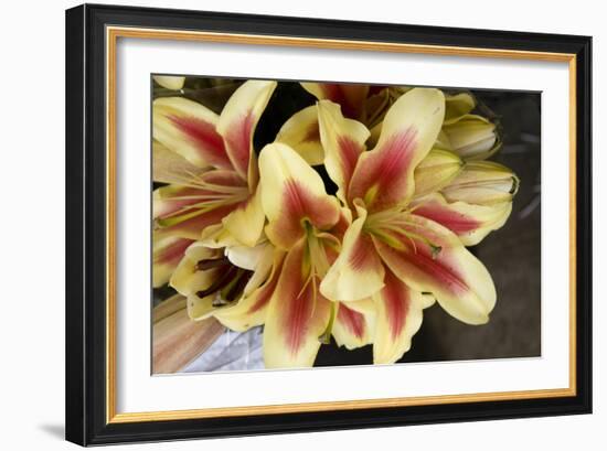 Vanilla Lily I-Maureen Love-Framed Premium Photographic Print